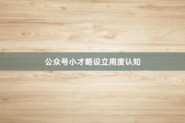 公众号小才略设立用度认知