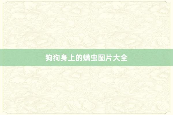 狗狗身上的螨虫图片大全
