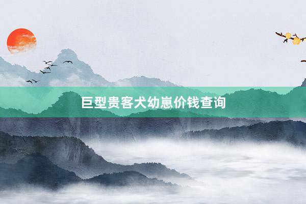 巨型贵客犬幼崽价钱查询