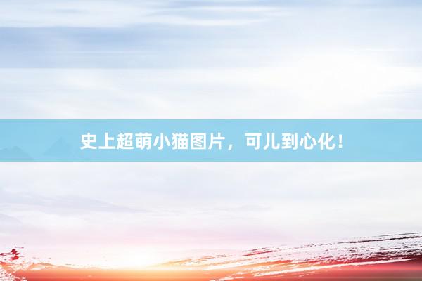 史上超萌小猫图片，可儿到心化！