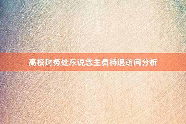 高校财务处东说念主员待遇访问分析